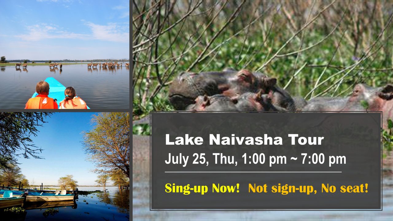 A break from the workshop: Recursion to Lake Naivasha