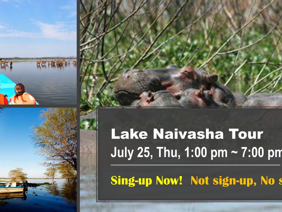 ICEMR -- Lake-Navasha-Presentation(20190723)