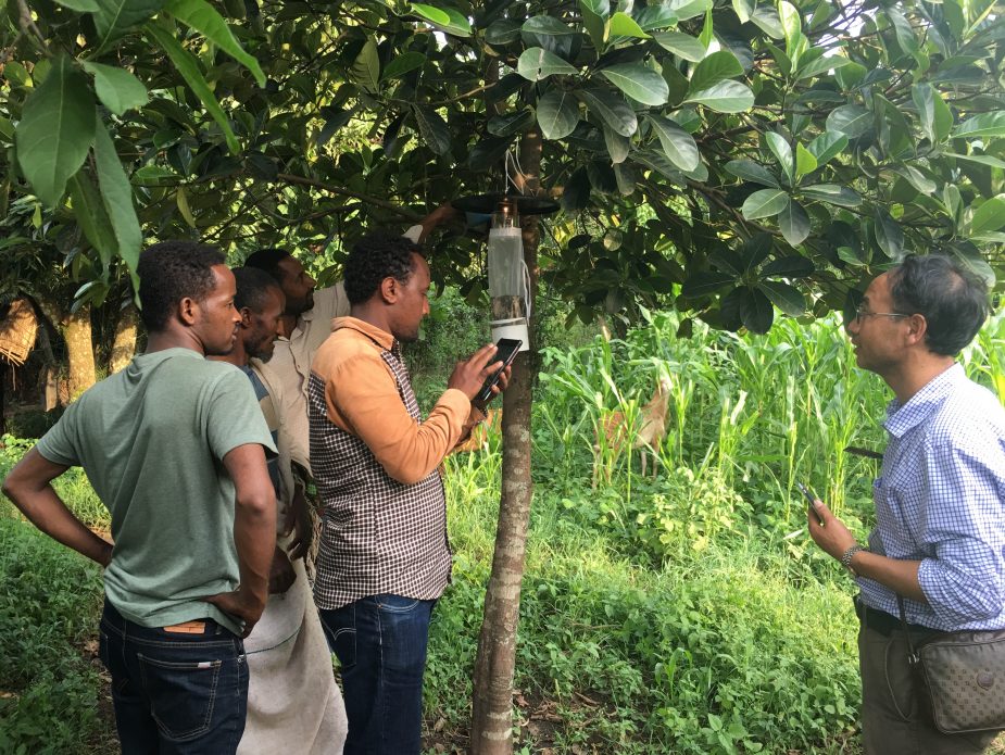 Data collection vis ODK