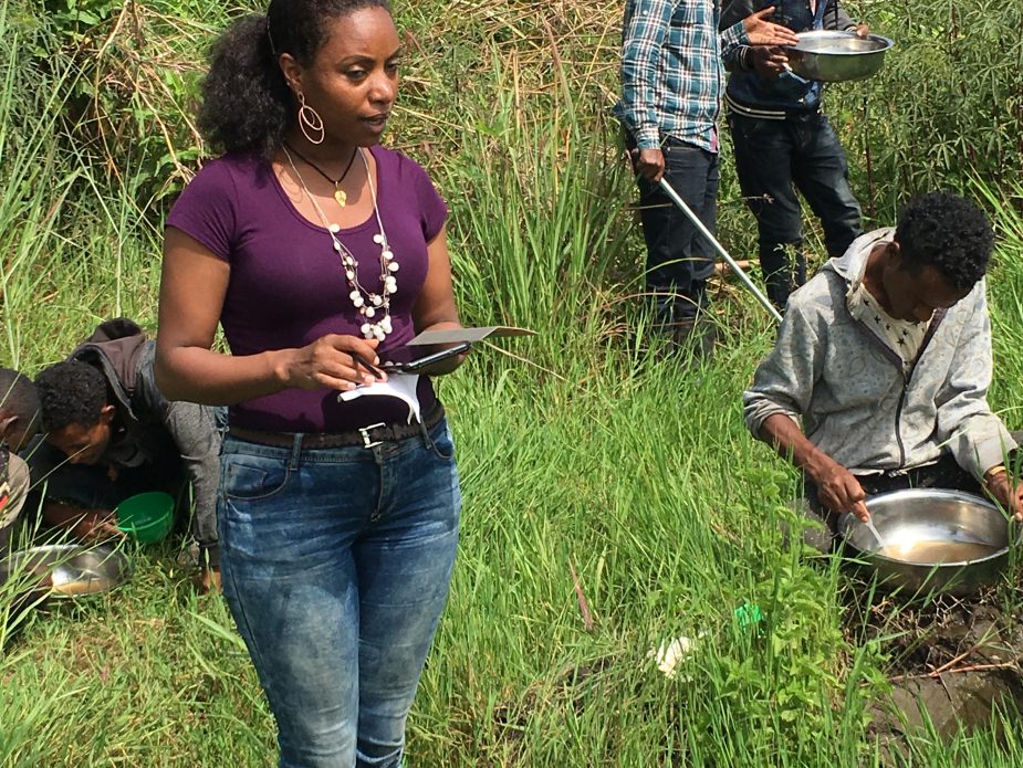 Data collection vis ODK
